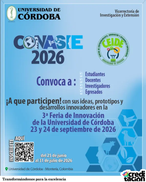 Imagen de extensión 2